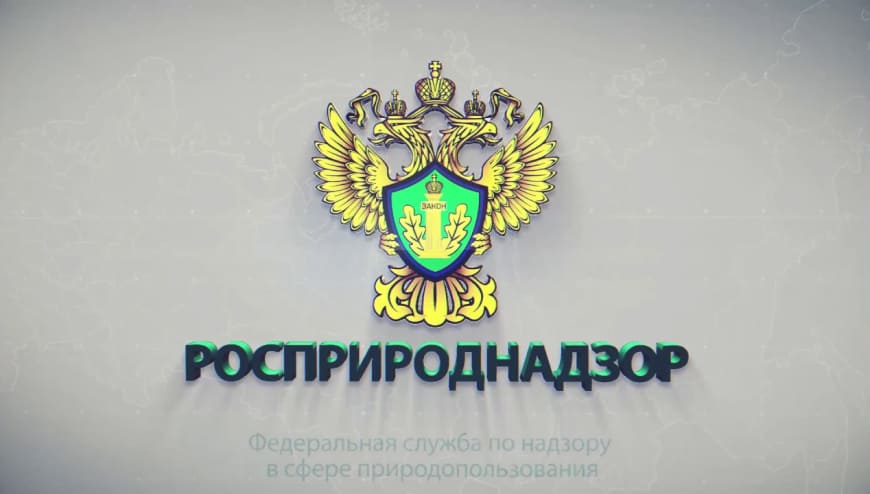 Логотип РПН